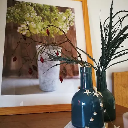 Gartenblick Zingst Extérieur photo