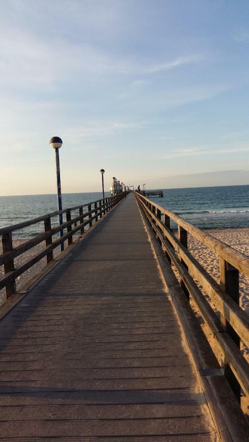 Gartenblick Zingst